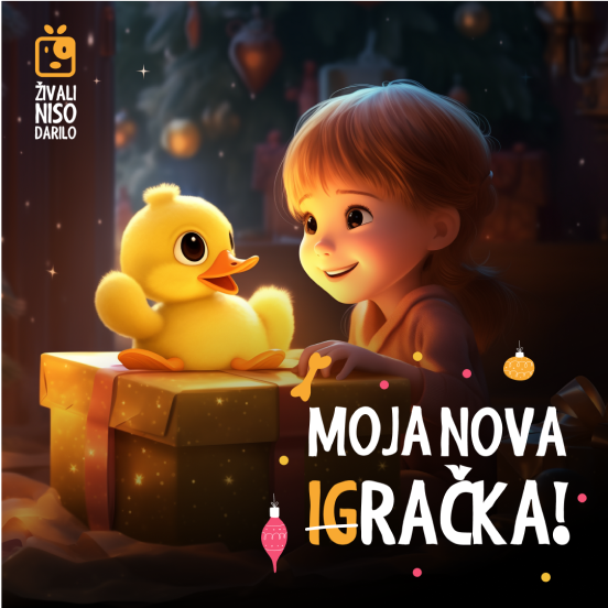 1080x1080 1 65ba218cd8e25 png