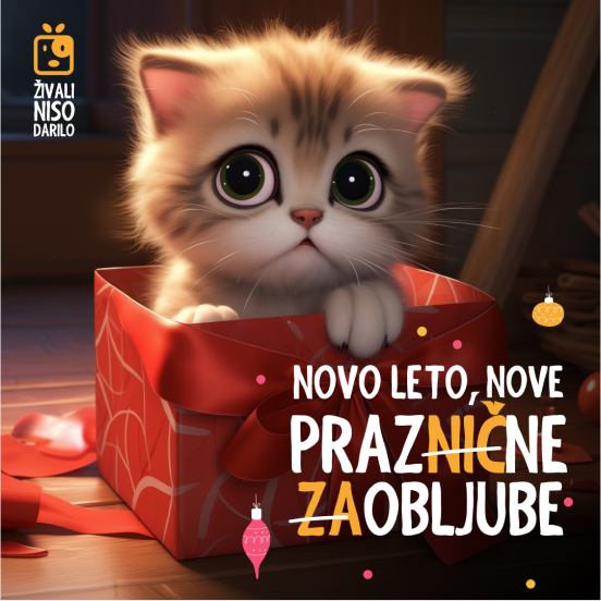 1080x1080 3 65ba218cda4ee png