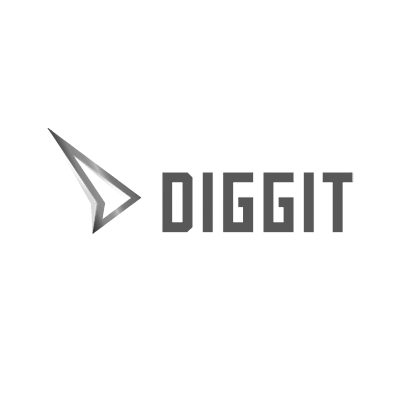 Golden diggit award 2016